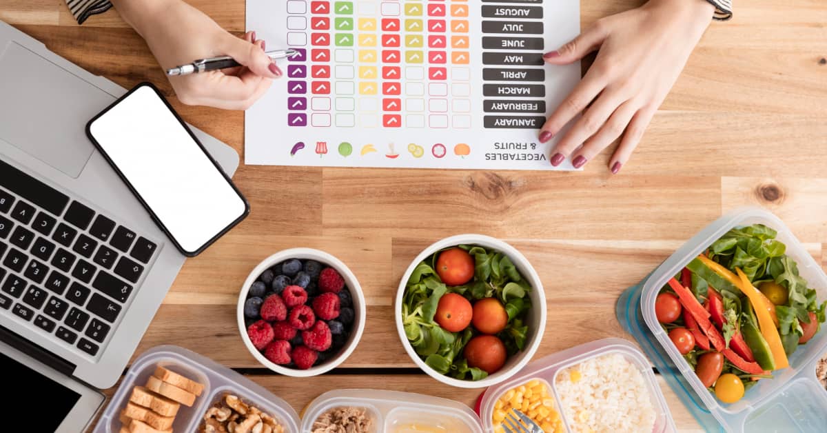 program diet sehat